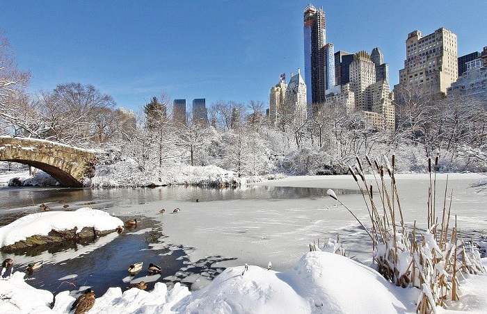 Profitez d'un Noël à New York et offrez-vous une balade dans Central Park