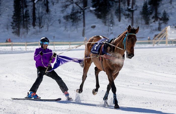 sports d’hiver insolites : découverte du ski Joëring