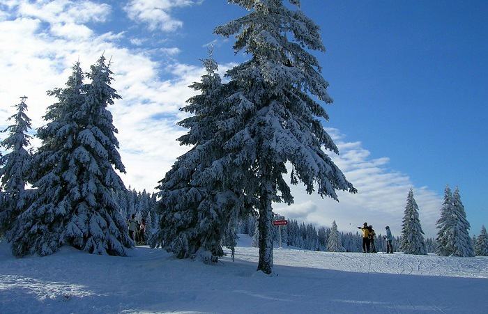 Offrez-vous une journée de ski dans la station de ski de Feldberg, dans le district de Fribourg-en-Brisgau