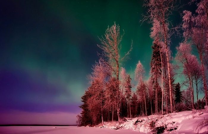 Profitez de votre séjour en Finlande pour admirer les aurores boréales