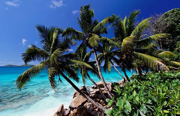 Les Seychelles, une des nombreuses destinations francophones à découvrir pendant vos vacances