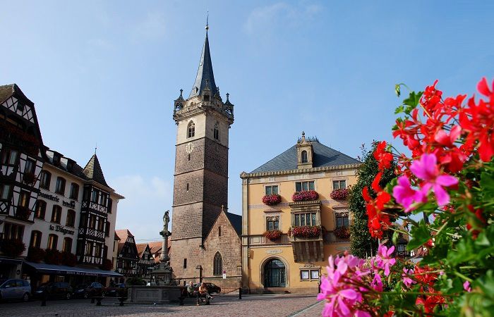 Profitez d'une escapade à Obernai lors de votre séjour en Alsace