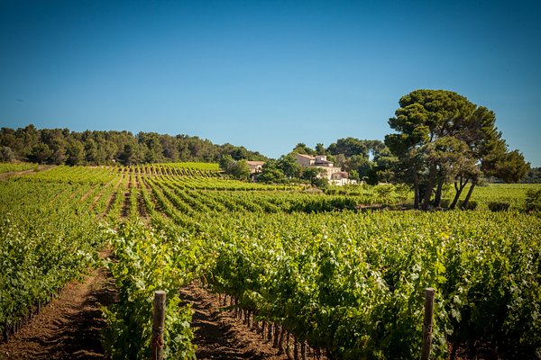 Visiter l'Hérault et Villeveyrac, son vignoble et l'Abbaye de Valmagne © DR