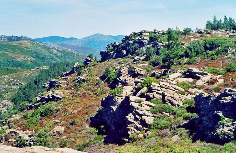 Le Massif du Caroux dans le Parc Naturel Régional du Haut-Languedoc © Wikipedia