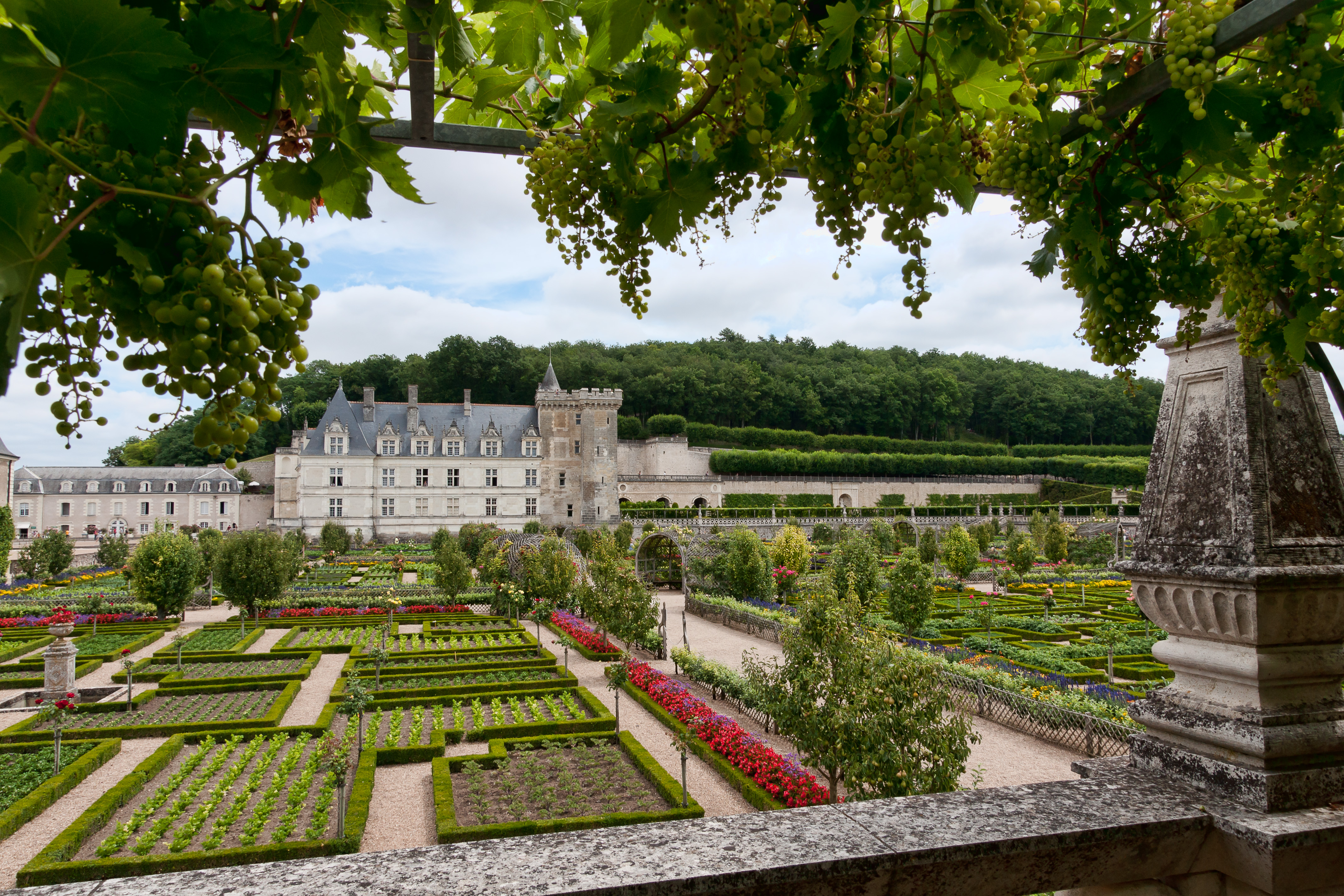Promenade dans les jardins du Château de Villandry © Wikipedia