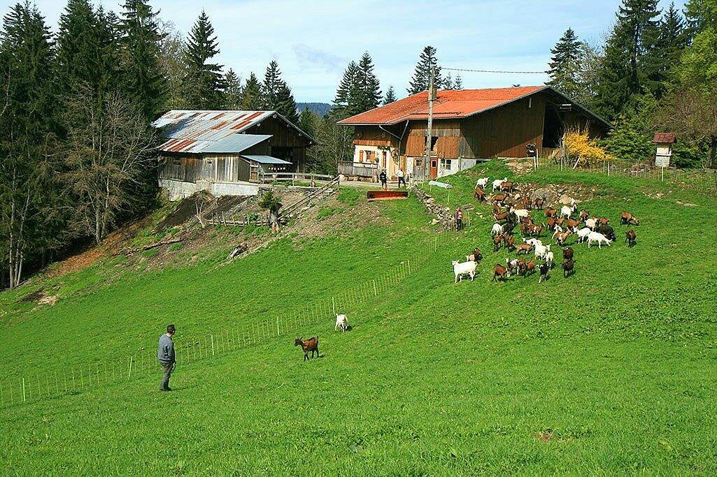 Venez faire un tour à la Chèvrerie de la Closette, pour acheter votre fromage directement à la ferme ©Tripadvisor