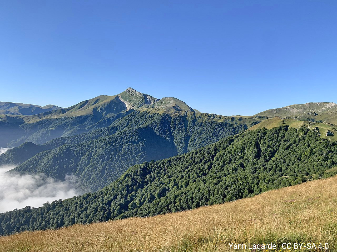 Visiter le Pays-Basque et la forêt d'Iraty © Yann Lagarde Guide du Pays Basque
