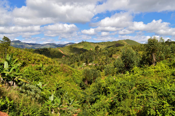 La réserve Vohimana est située au coeur du corridor forestier est de Madagascar © vohimana.com