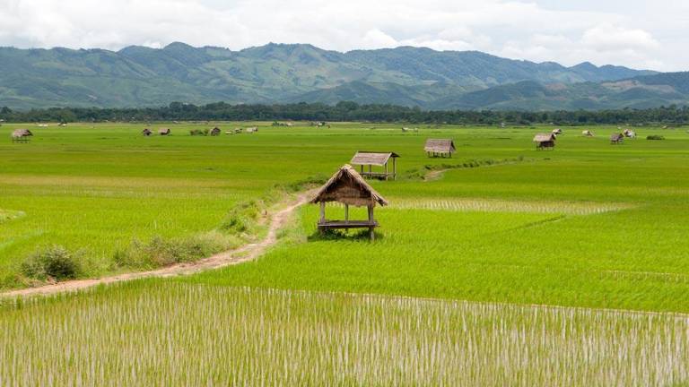 Louang Namtha est une ville du Nord-Ouest du Laos © sensationsdumonde.com