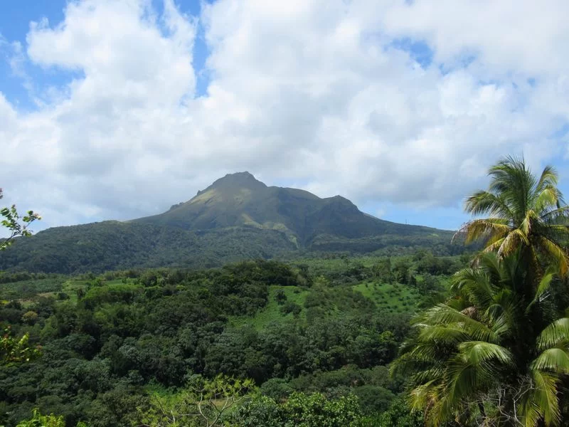 Visiter la Martinique et grimper la montagne du Vauclin © DR 