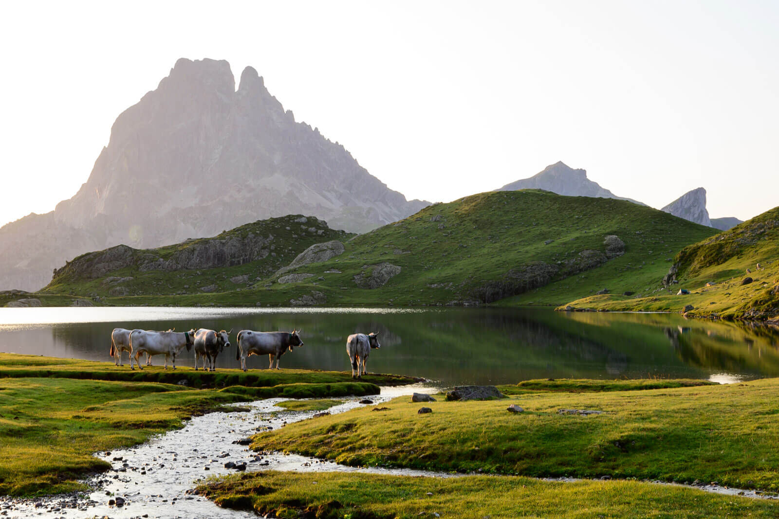 Le Parc National des Pyrénées ©Guide Béarn Pyrénées