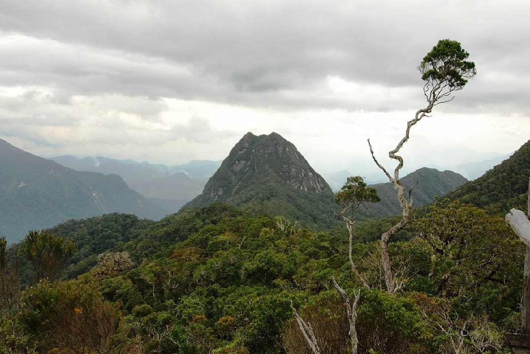 le massif le plus haut de l’île est le Tsaratnana qui s’élève à 2876 m © Madagascar National Parks