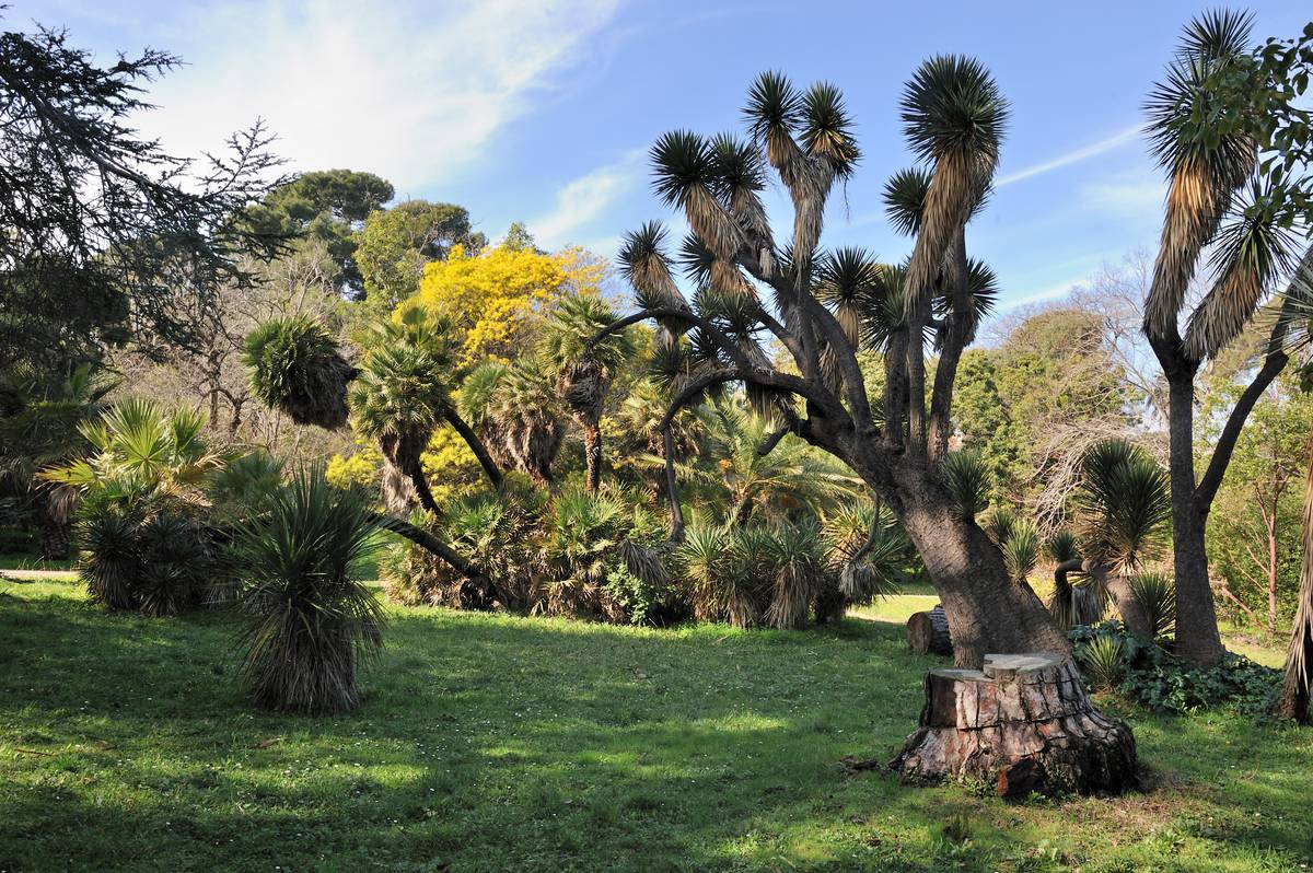 Le parc botanique de la villa Thuret © Office de tourisme