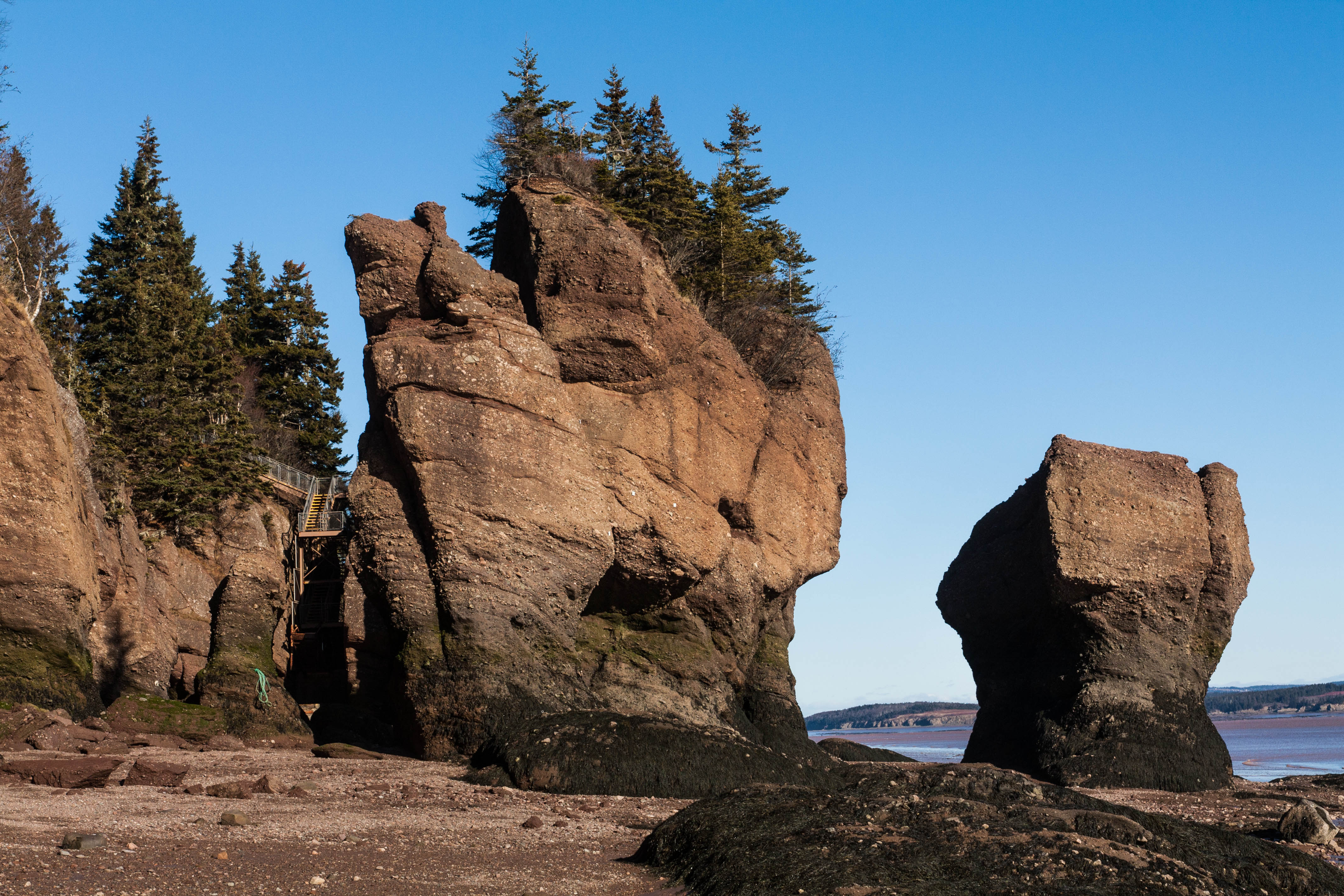 Hopewell Rocks au Nouveau-Brunswick © Wikipedia