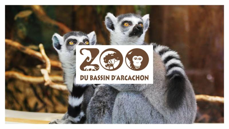 Visiter le Zoo du Bassin d'Arcachon © Village Khelus