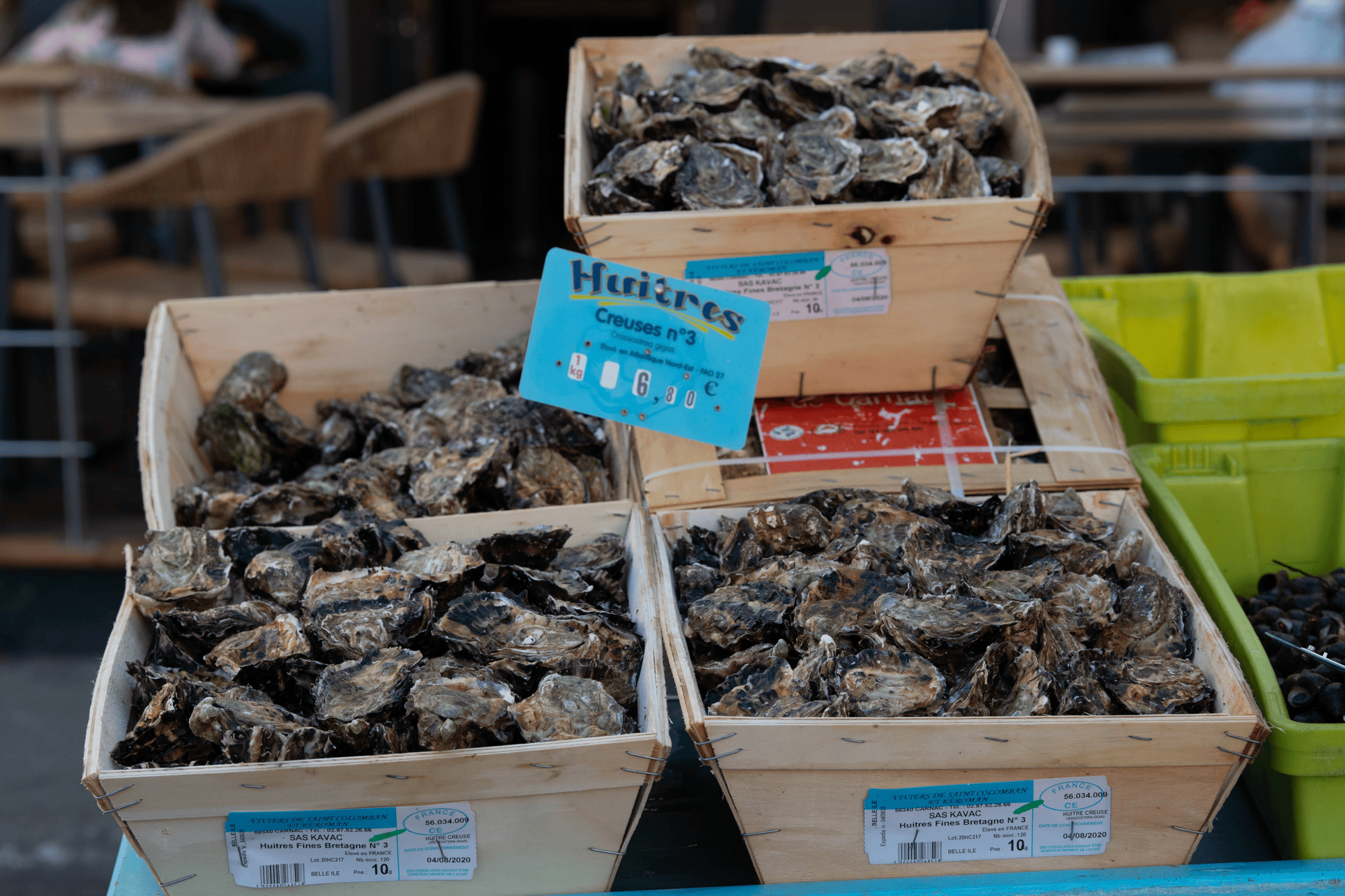 Goûter aux huitres sur les marchés de Belle-île-en-Mer © Belle-île