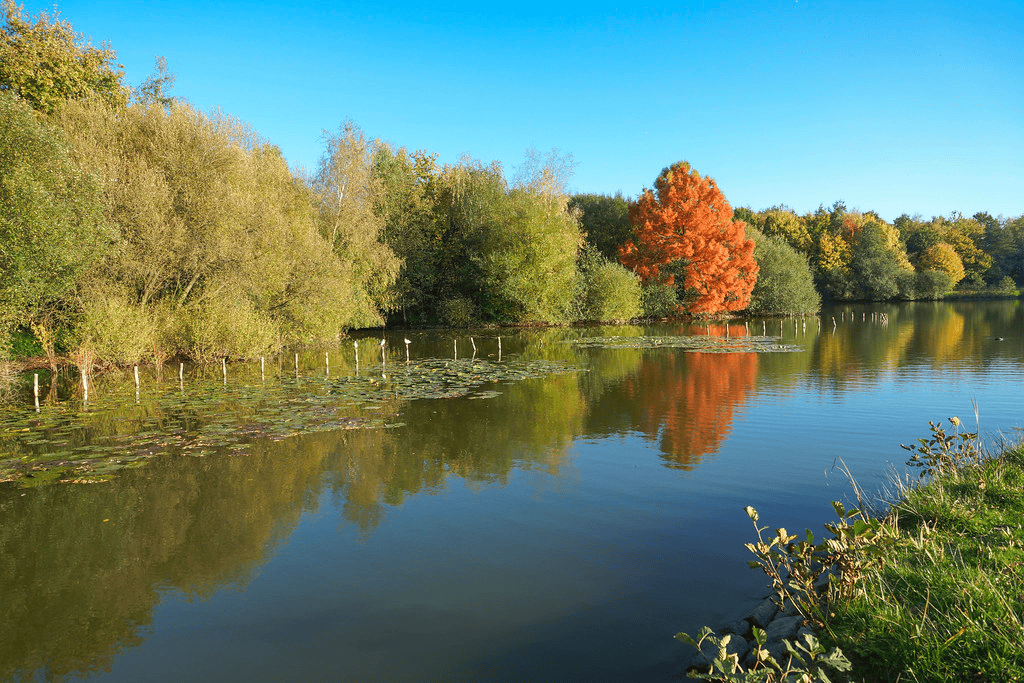 Le Parc des Gayeulles en automne © Flickr
