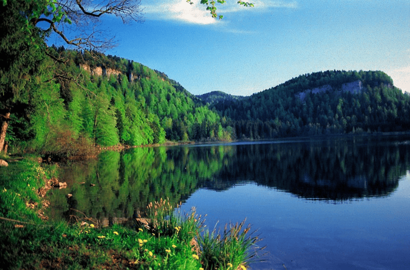 Lac de Bonlieu est peut-être le plus sauvage des lacs du Jura © DR