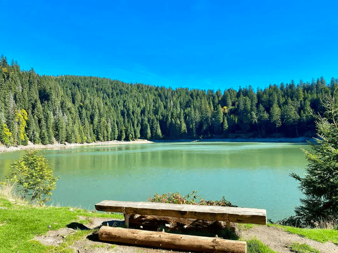 Lac Vert parmi les lacs d'Alsace à explorer ©Rheaparks