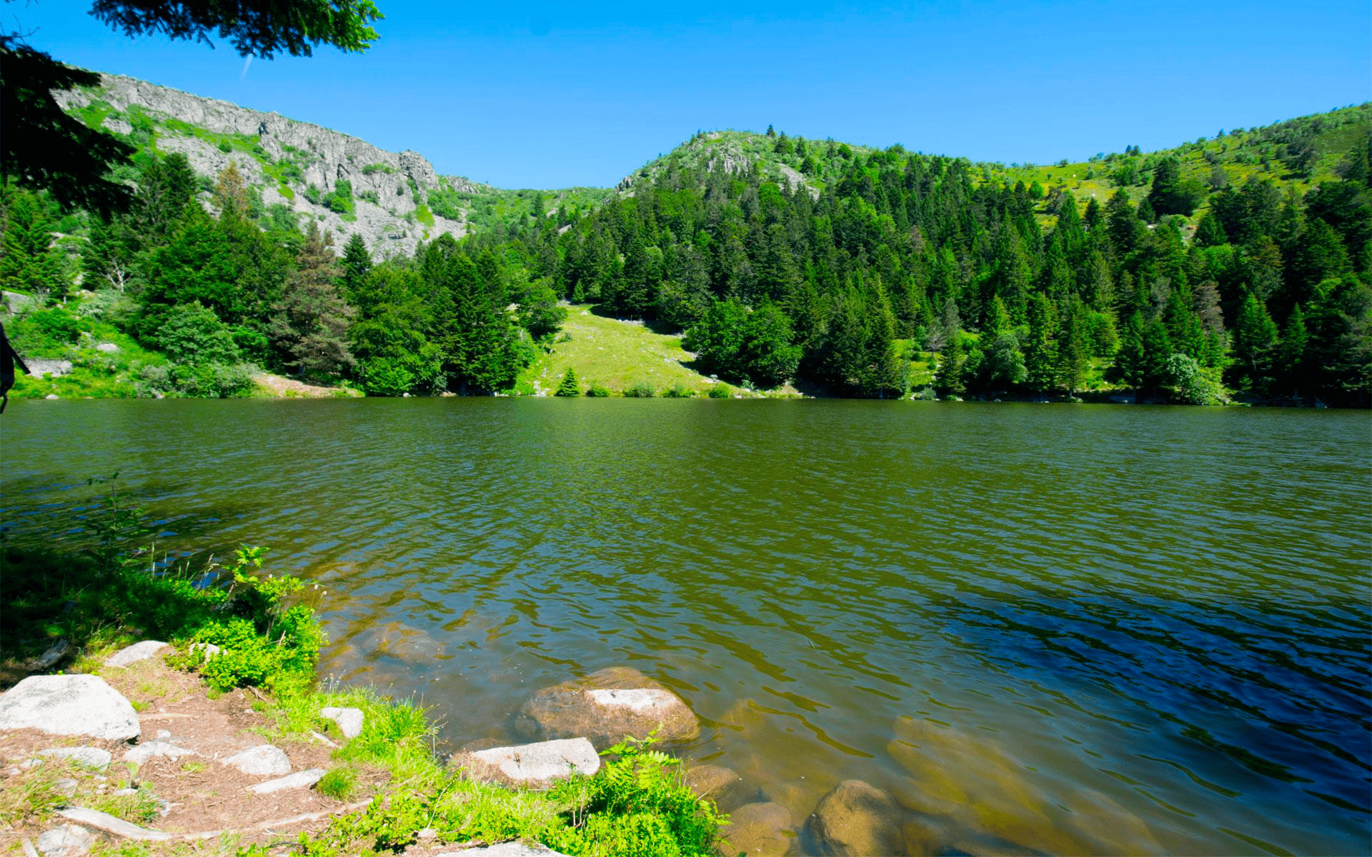 Lac des Truites ©Camping Labaroche
