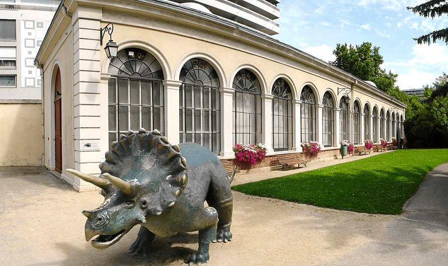 Musée d'histoire naturelle © Museum-Grenoble