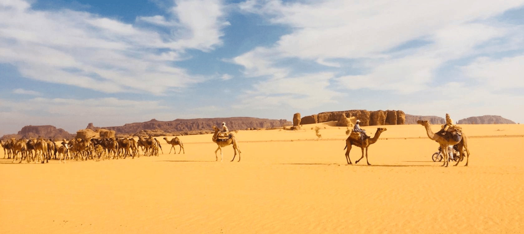 Des chameaux dans le désert au Tchad © AFD