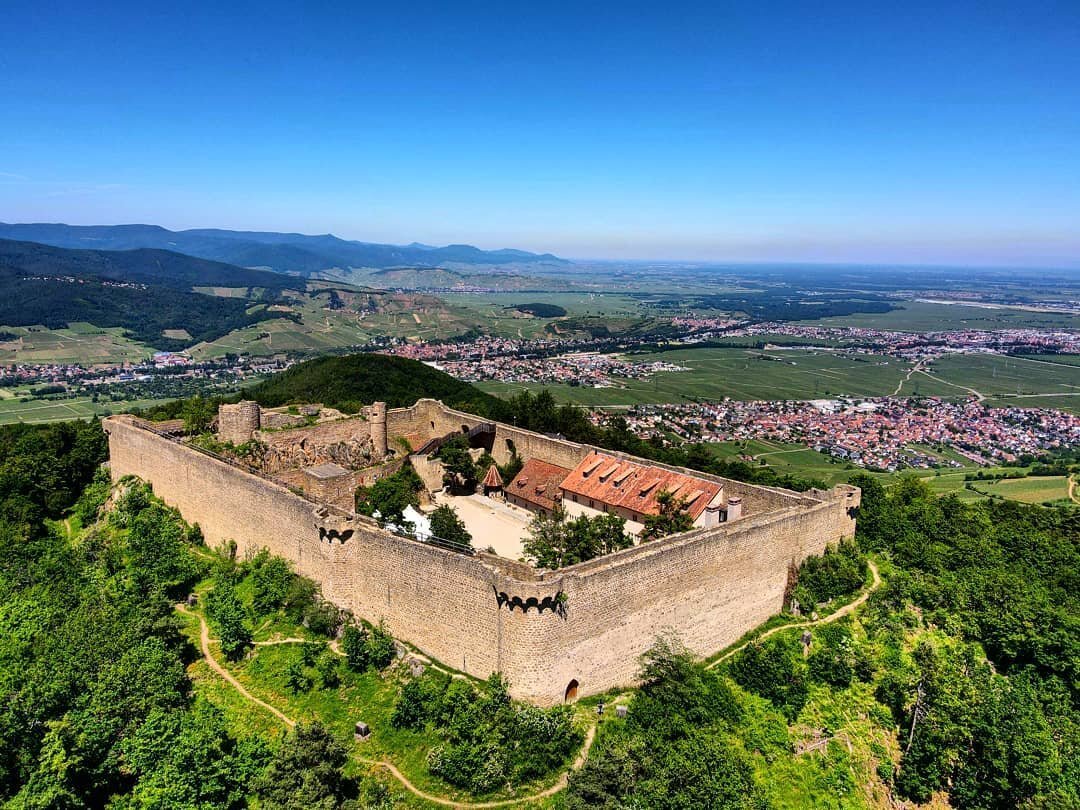 Château de Hohlandsbourg parmi les châteaux d'Alsace © Facebook - Colmar Tourisme