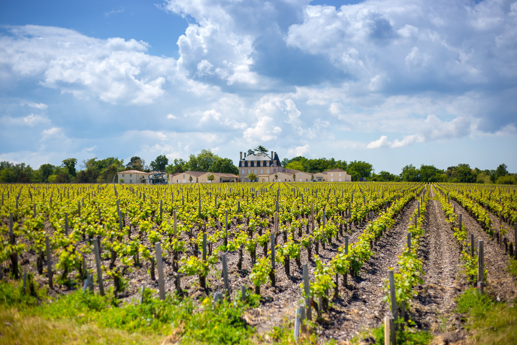 Vignoble du Médoc © Bordeaux Tourisme