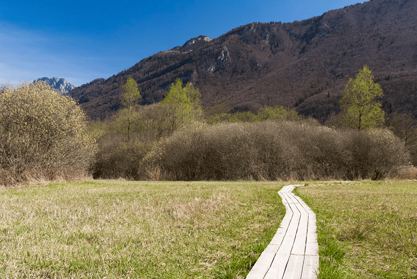 Sentier d'interprétation de la réserve naturelle du Bout du Lac © Savoie Mont Blanc