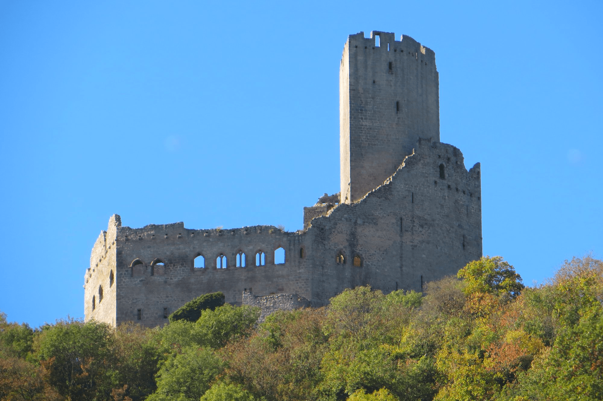 Château de l'Ortenbourg © Les Sentinelles de L'Ortenbourg