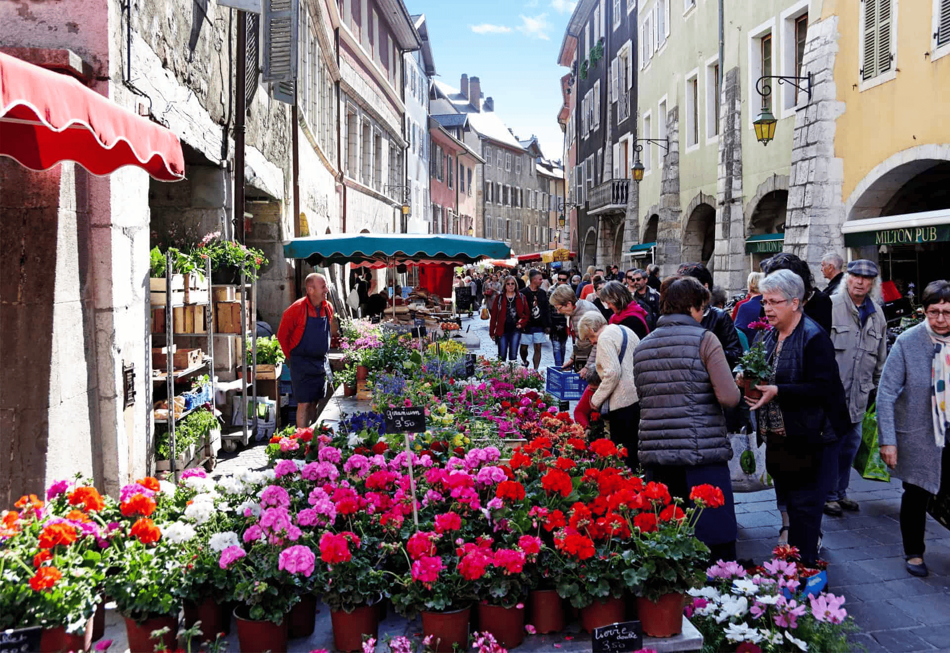 Le marché de la vieille ville d'Annecy pour visiter Annecy en 1 jour © OVO Network