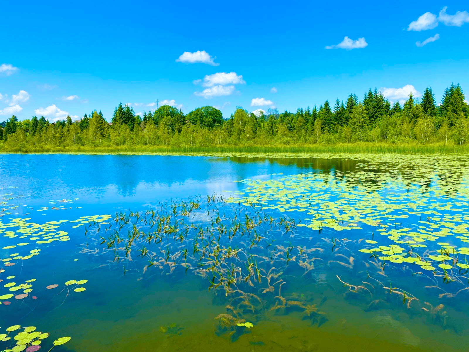 Lac de Malpas ©L'Est Républicain