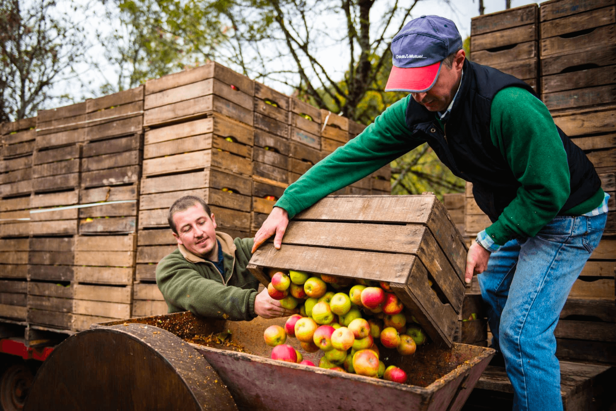 La Fête de la Pomme et du Miel à Annecy en Novembre © Sources du Lac