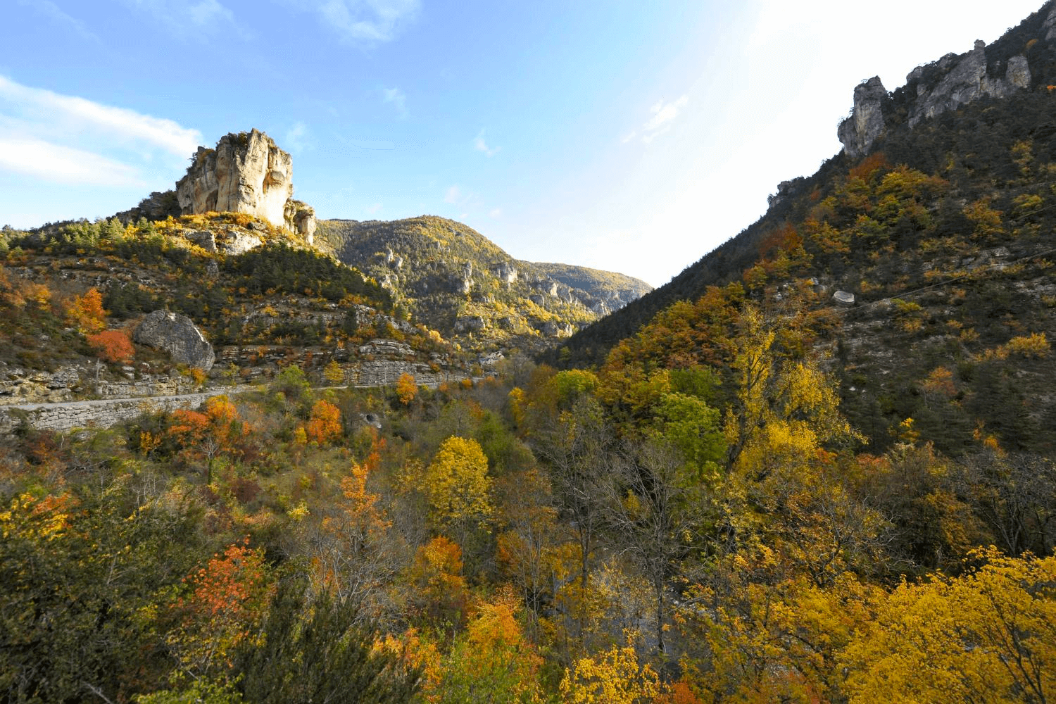 Parc national des Cévennes © Parc Nationaux