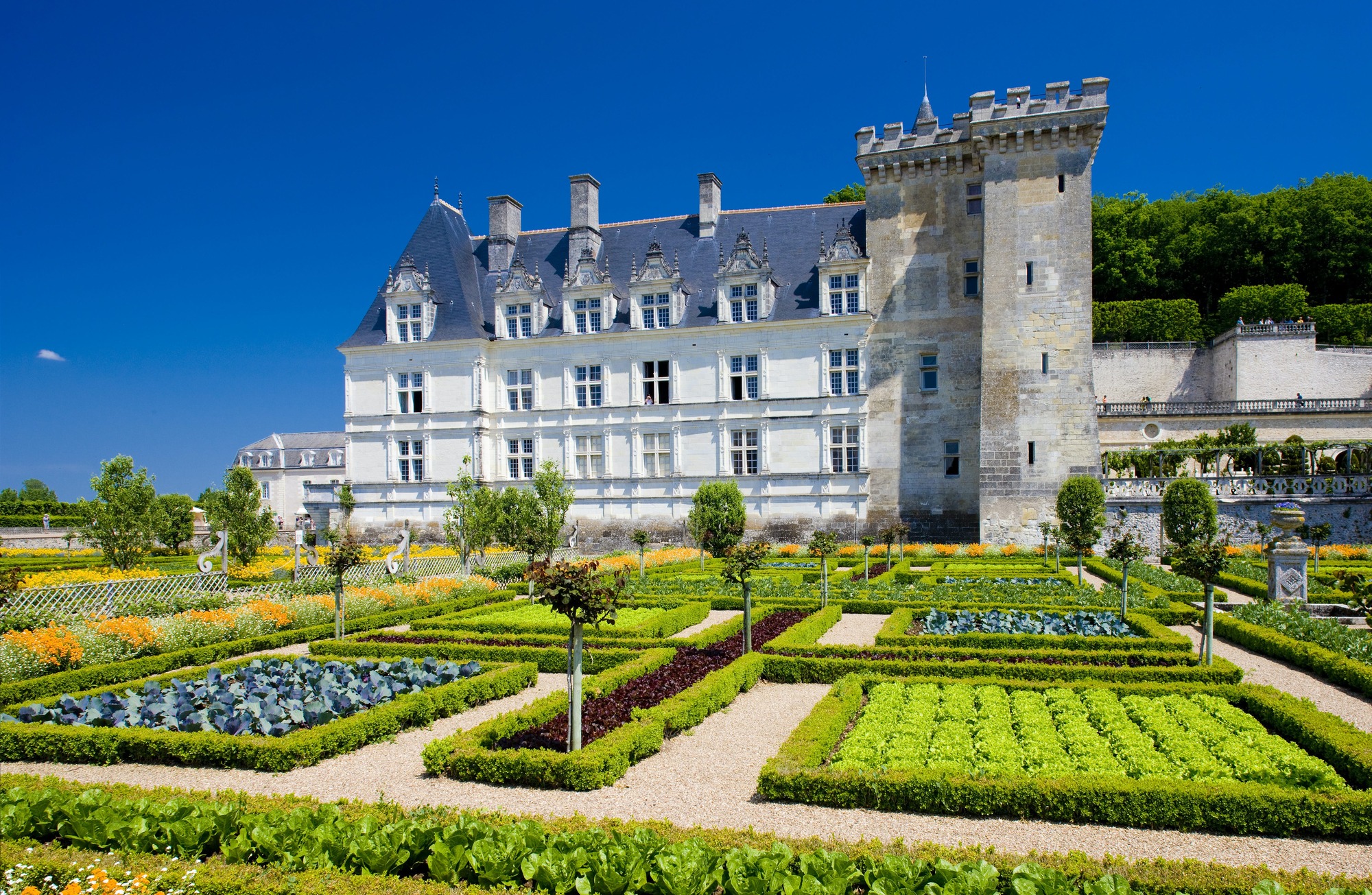 Château de Villandry © Lonely Planet