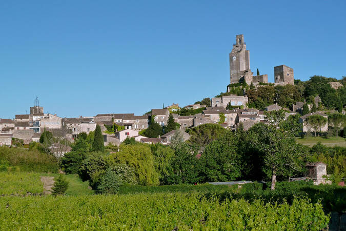 Tour de Chamaret parmi les châteaux de la Drôme © Carte interactive du patrimoine de la Drôme