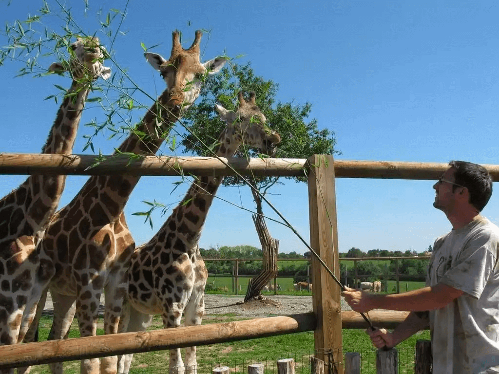 Natur’Zoo de Mervent parmi les zoos de Vendée ©Nantes Maville
