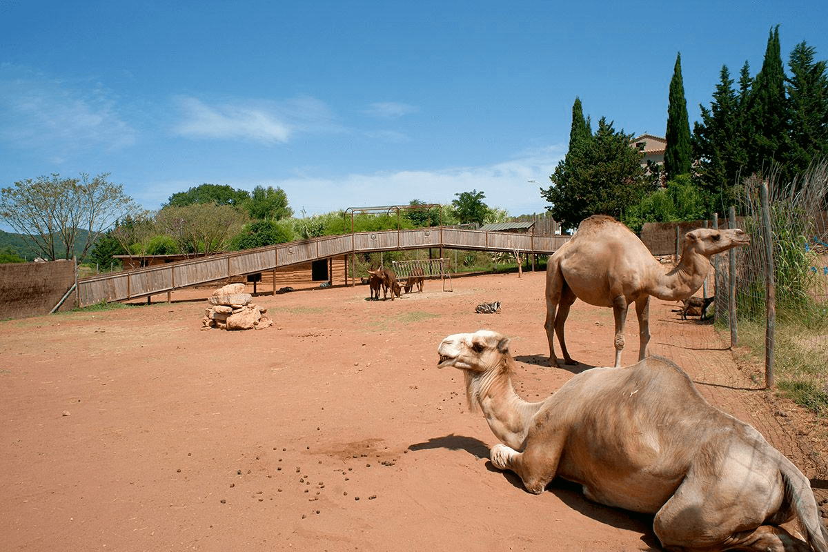 ZooParc du Cannet-des-Maures ©Coeur du Var Tourisme