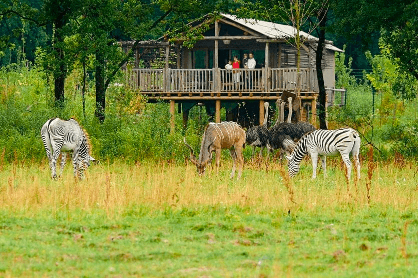 Parc animalier de Ginasservis ©Petit Futé