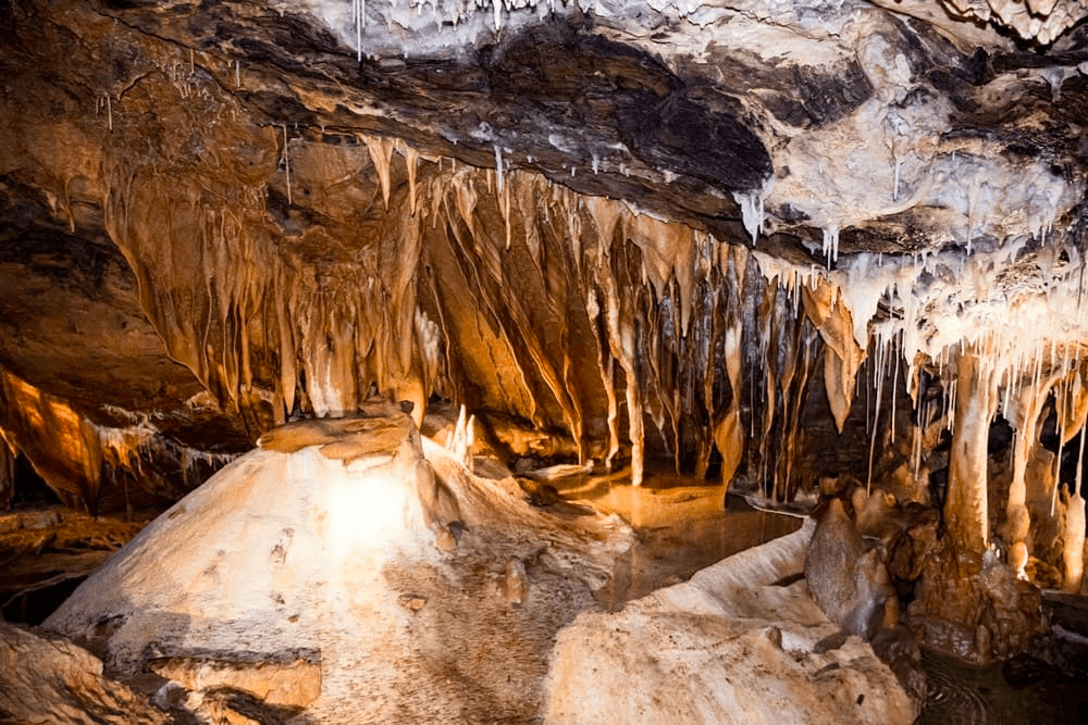 Grotte de la Devèze parmi les grottes de l'Hérault © 
Minervois-Caroux