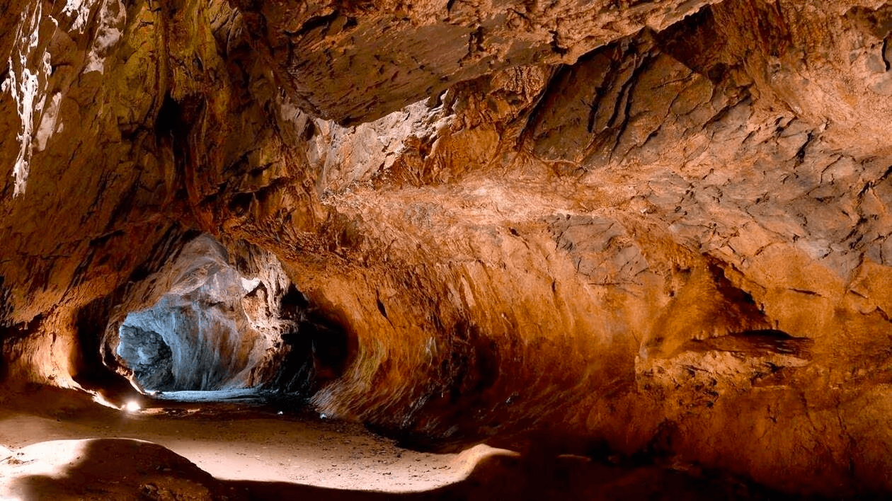 Grotte de Mayenne-Sciences parmi les grottes de Mayenne©Ouest-France