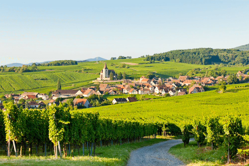 Route des Vins d'Alsace ©Winalist