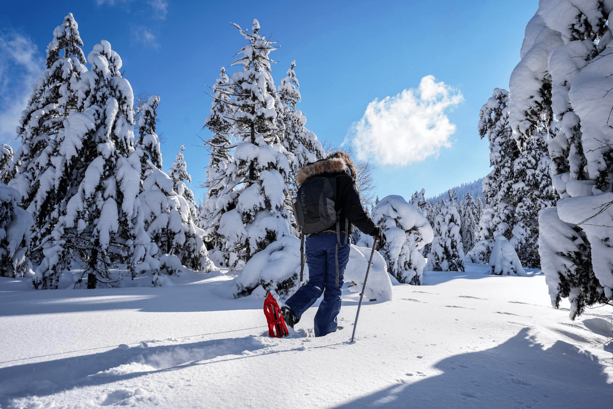 Balade en raquettes à neige et visiter les Vosges ©Generation Voyage