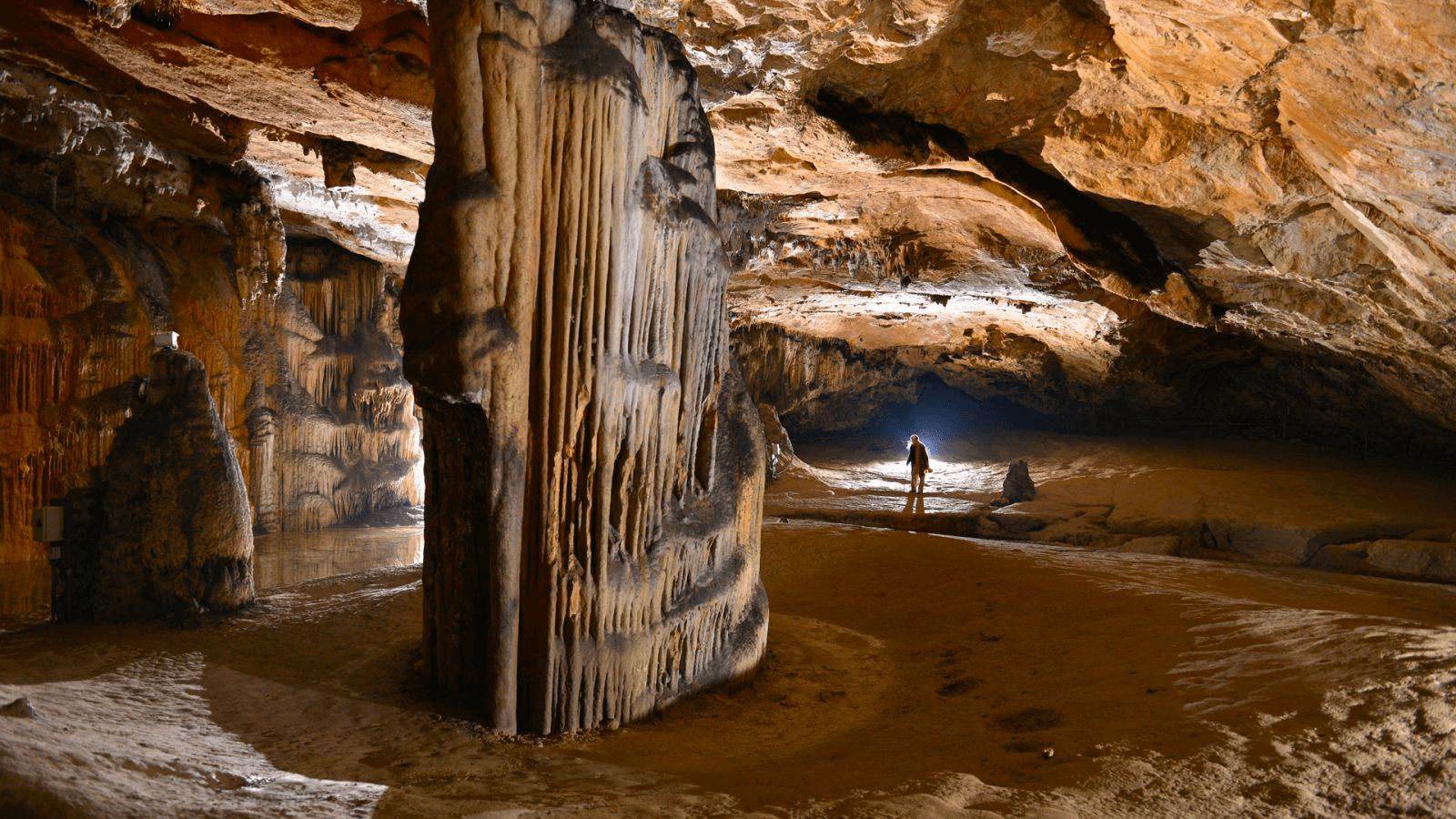 Grotte de Bédeilhac parmi les grottes d'Ariège © 
Sites Touristiques Ariège