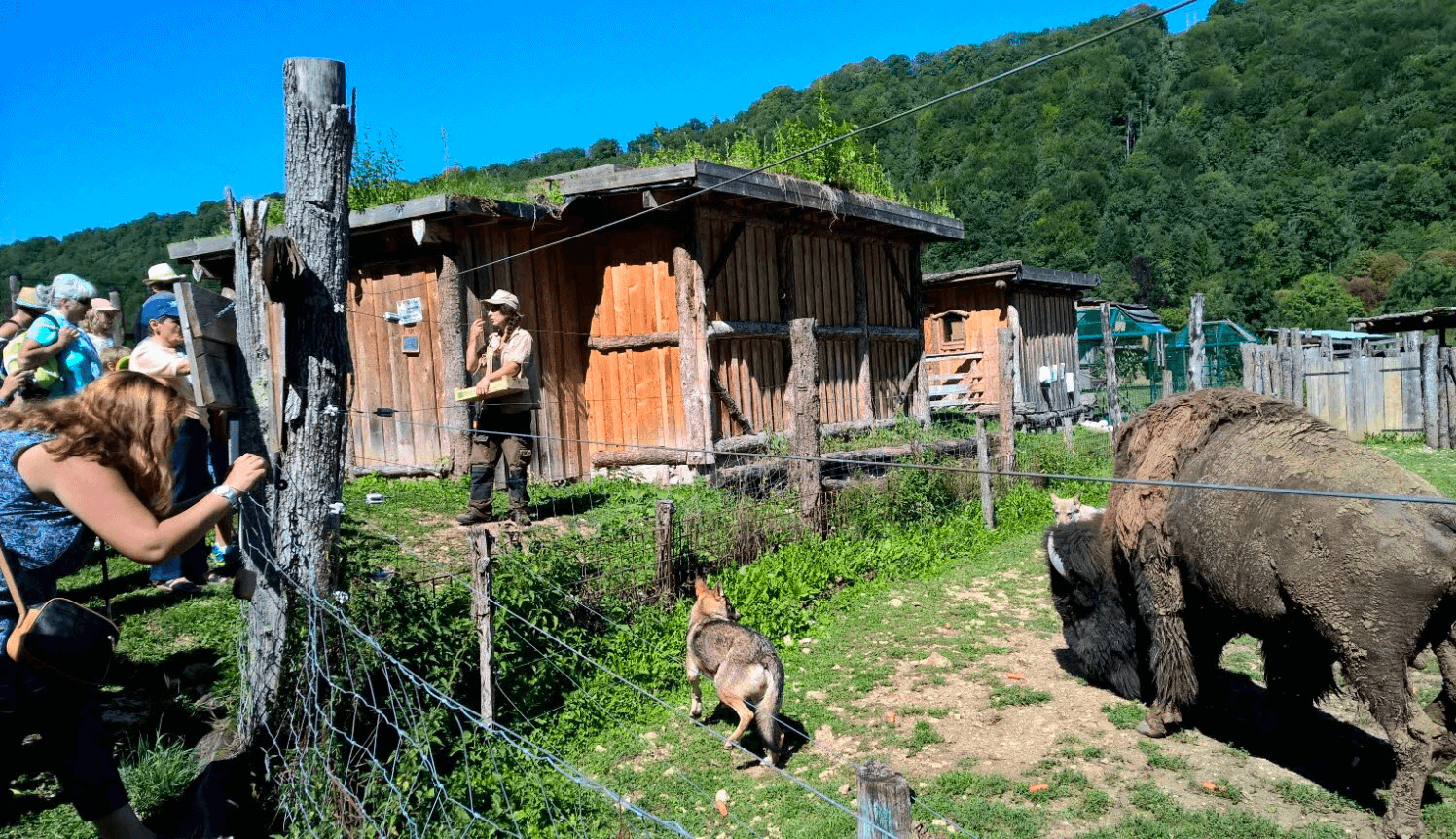 Parc animalier du Hérisson ©Le Progrès