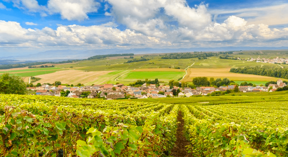 Les Riceys et la route touristique du Champagne ©La Revue du vin de France