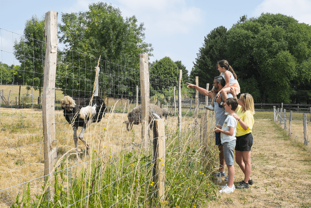Ferme Souchinet parmi les zoos de l'Aisne ©Ferme Souchinet