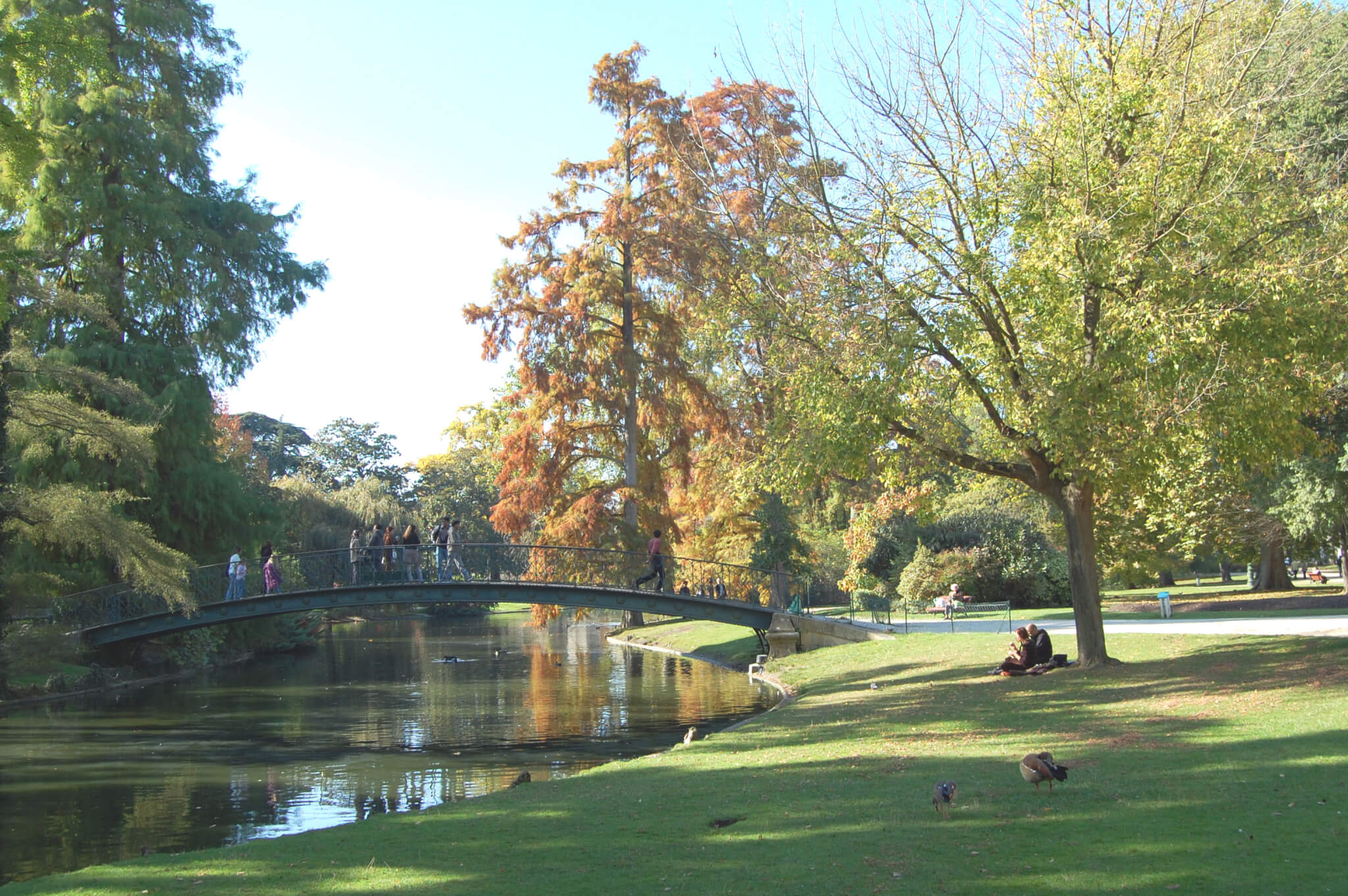 La nature du Jardin Public de Bordeaux ©Wikipedia