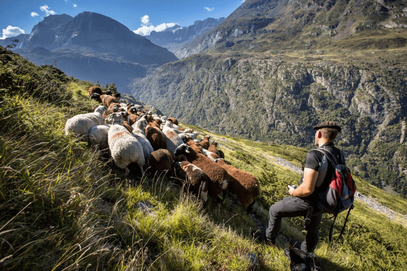 Le Parc National des Pyrénées berceau du pastoralisme © Esprit Parc National