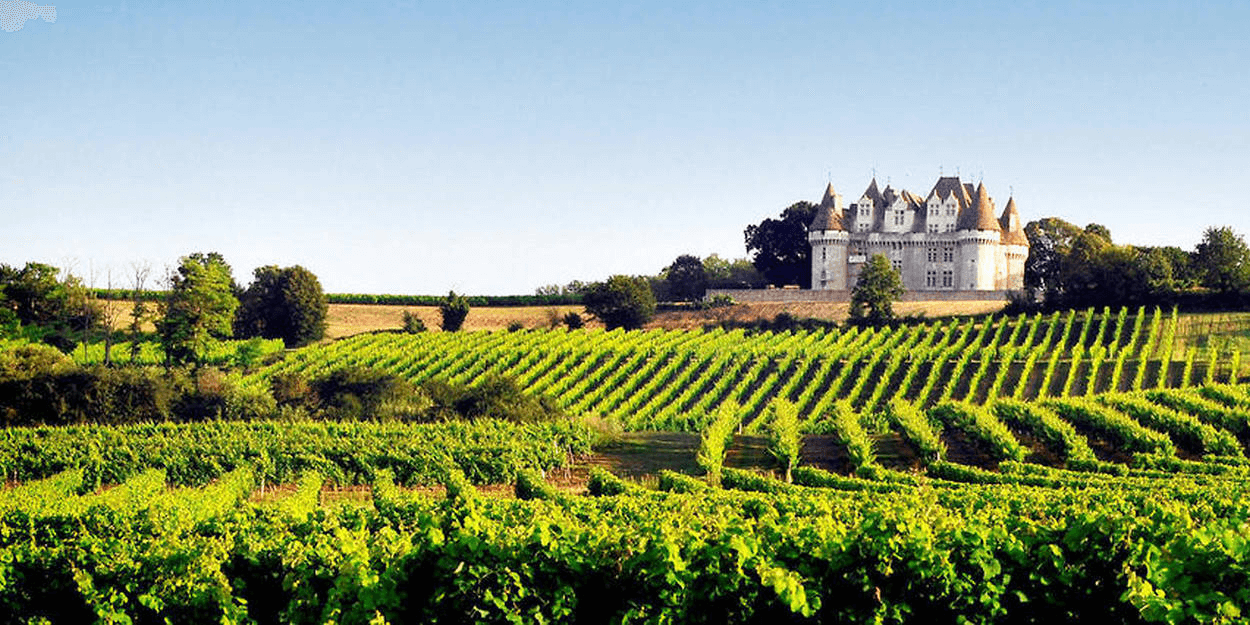 Le château de Montbazillac et ses vignobles au coeur du Périgord Pourpre © Le Point